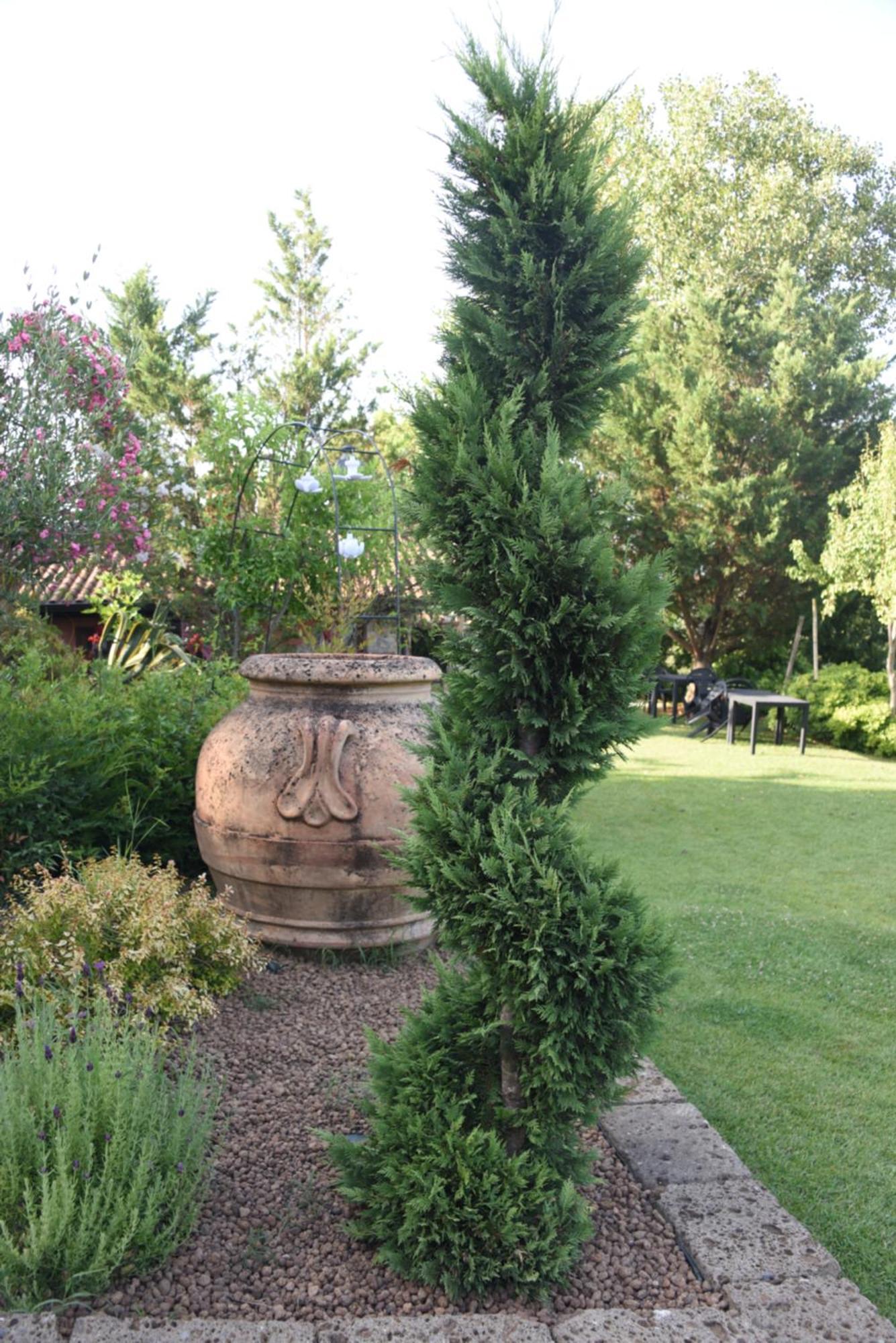 Bosco D'Olmi Country House Sant'Andrea del Garigliano Dış mekan fotoğraf