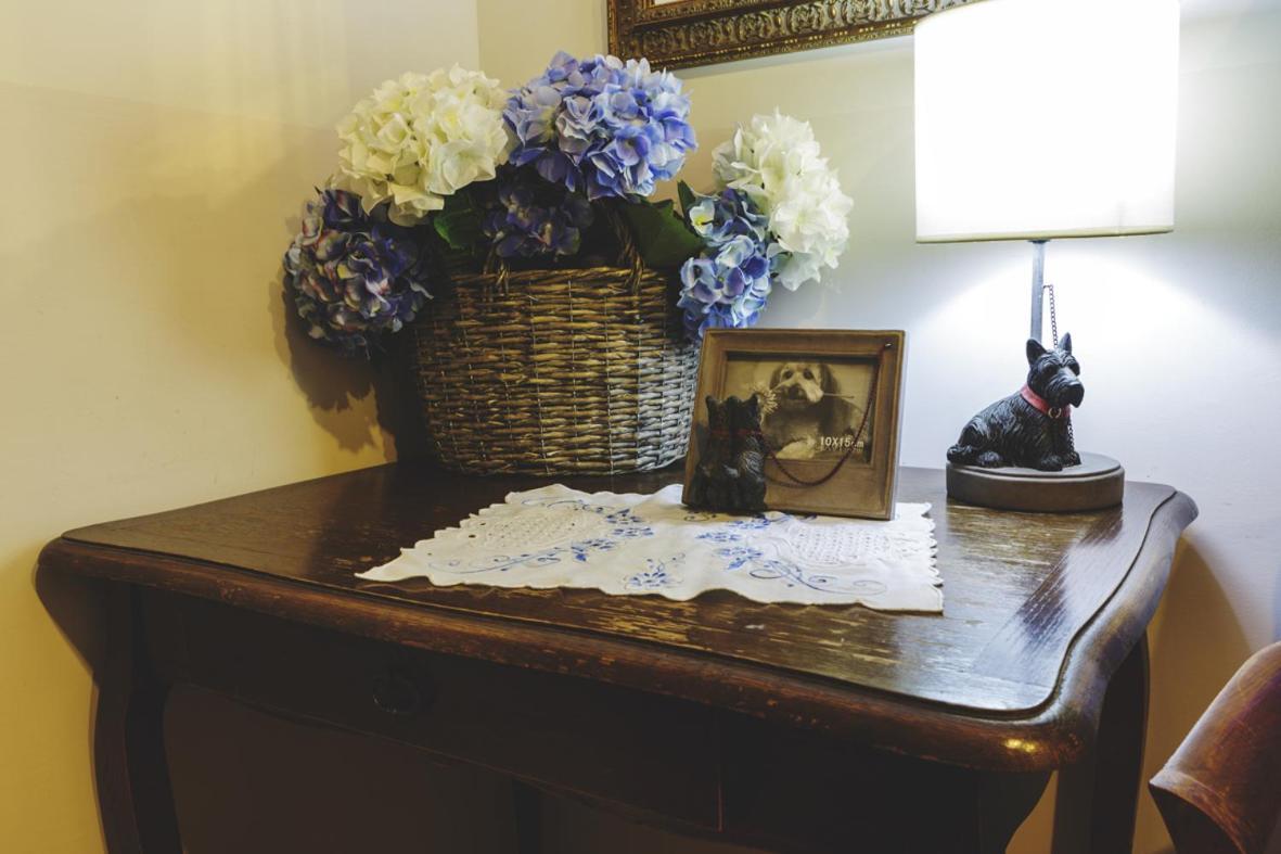 Bosco D'Olmi Country House Sant'Andrea del Garigliano Dış mekan fotoğraf